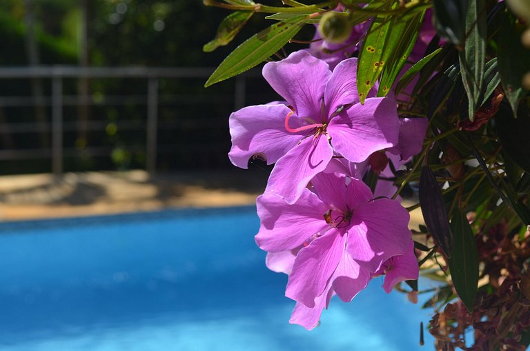 Casa de Cinema Granja Brasil, com serviço incluído