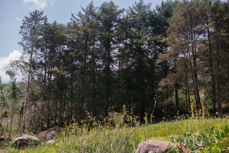 Reserva da Fronteira, Casa Parque de Temporada em Itaipava
