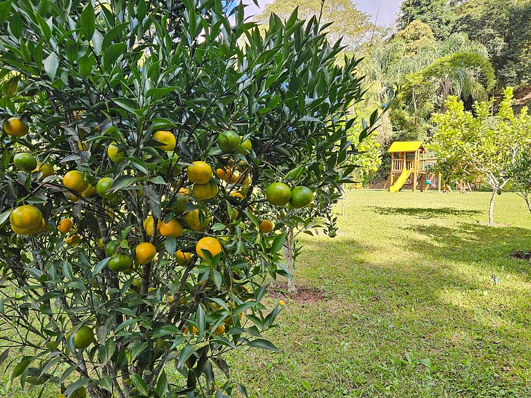 Hermosa casa de campo de 4 dormitorios en la montaña con pis
