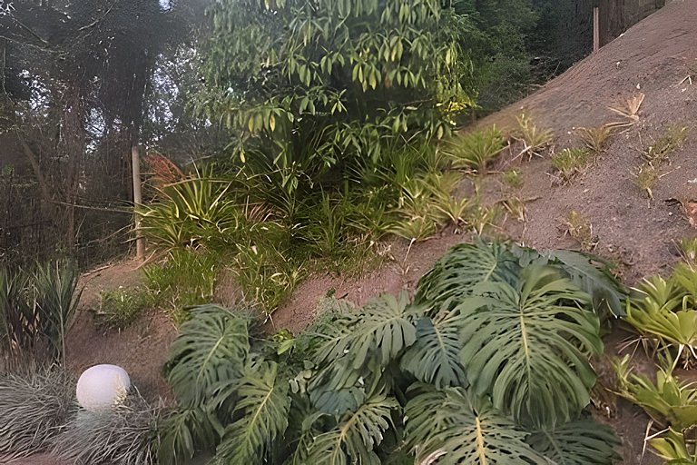 Casa Paradiso refúgio no campo.